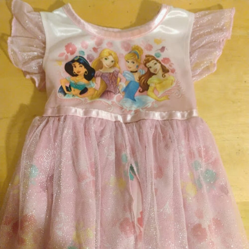 Disney Princess Pink Tulle Dress Size 2T